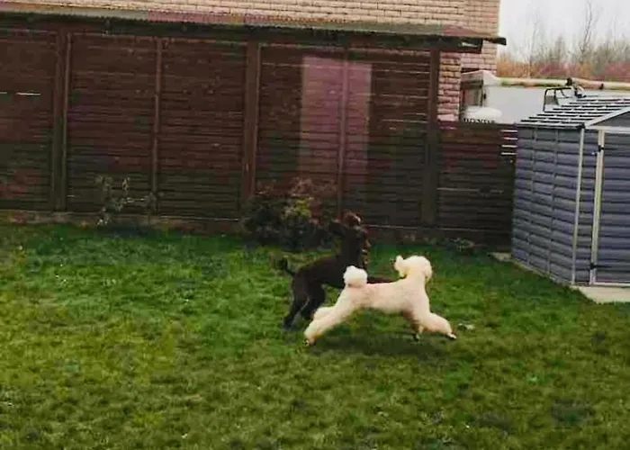 Hébergement de vacances Blue Hound *